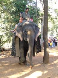 Bondla Wildlife Sanctuary : Goa Directory